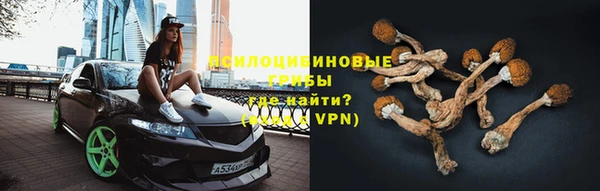 мяу мяу мука Покров