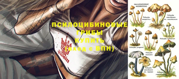скорость Балахна