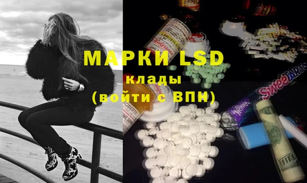 мяу мяу мука Покачи